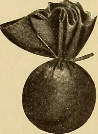 An illustration from Diagnostic methods, chemical, bacteriological and microscopical : a text-book for students and practitioners / by Ralph W. Webster ; with 37 colored plates and 164 other illustrations., 1909, leaf 133