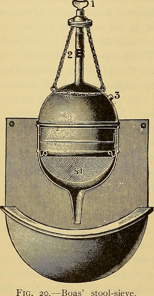 An illustration from Diagnostic methods, chemical, bacteriological and microscopical : a text-book for students and practitioners / by Ralph W. Webster ; with 37 colored plates and 164 other illustrations., 1909, leaf 146