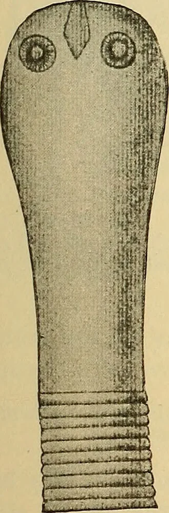 An illustration from Diagnostic methods, chemical, bacteriological and microscopical : a text-book for students and practitioners / by Ralph W. Webster ; with 37 colored plates and 164 other illustrations., 1909, leaf 183