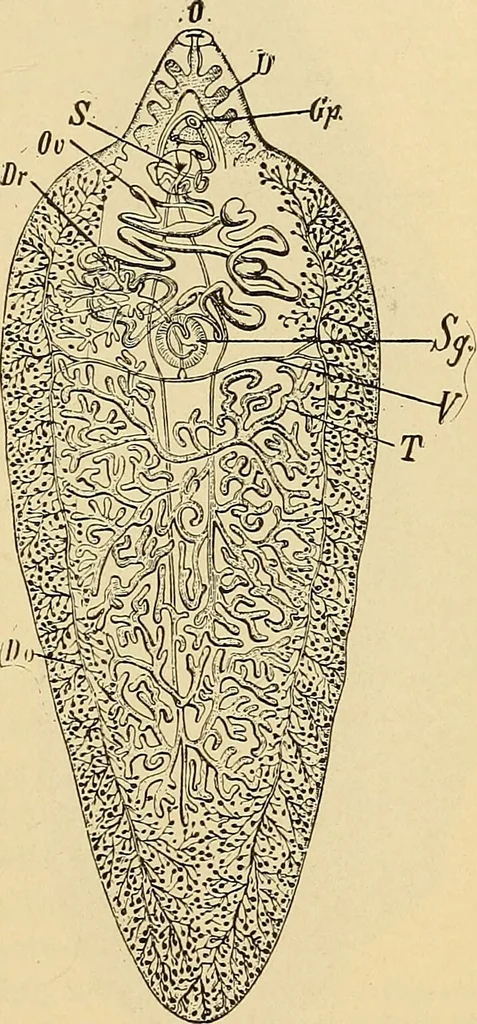An illustration from Diagnostic methods, chemical, bacteriological and microscopical : a text-book for students and practitioners / by Ralph W. Webster ; with 37 colored plates and 164 other illustrations., 1909, leaf 199