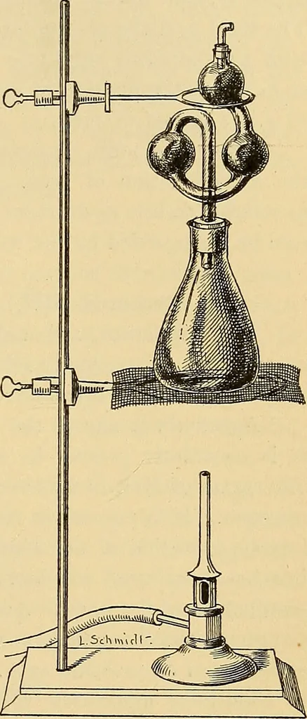 An illustration from Diagnostic methods, chemical, bacteriological and microscopical : a text-book for students and practitioners / by Ralph W. Webster ; with 37 colored plates and 164 other illustrations., 1909, leaf 265