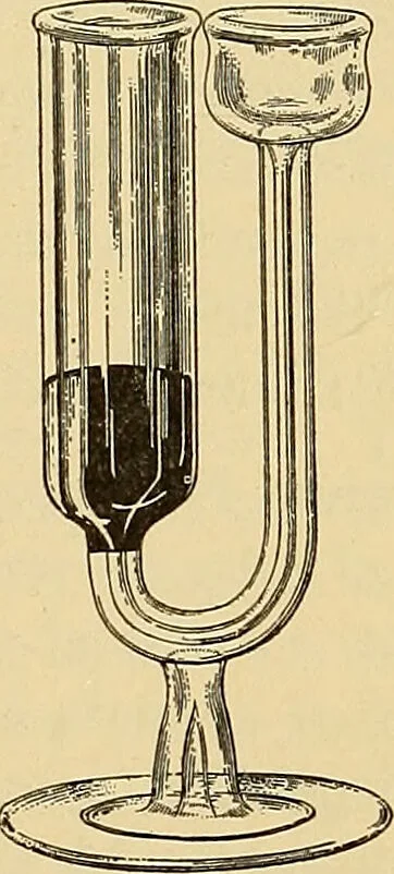 An illustration from Diagnostic methods, chemical, bacteriological and microscopical : a text-book for students and practitioners / by Ralph W. Webster ; with 37 colored plates and 164 other illustrations., 1909, leaf 307