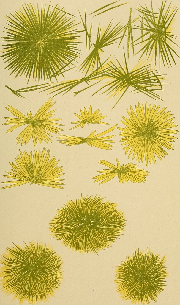 An illustration from Diagnostic methods, chemical, bacteriological and microscopical : a text-book for students and practitioners / by Ralph W. Webster ; with 37 colored plates and 164 other illustrations., 1909, leaf 333
