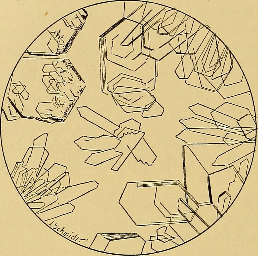 An illustration from Diagnostic methods, chemical, bacteriological and microscopical : a text-book for students and practitioners / by Ralph W. Webster ; with 37 colored plates and 164 other illustrations., 1909, leaf 384
