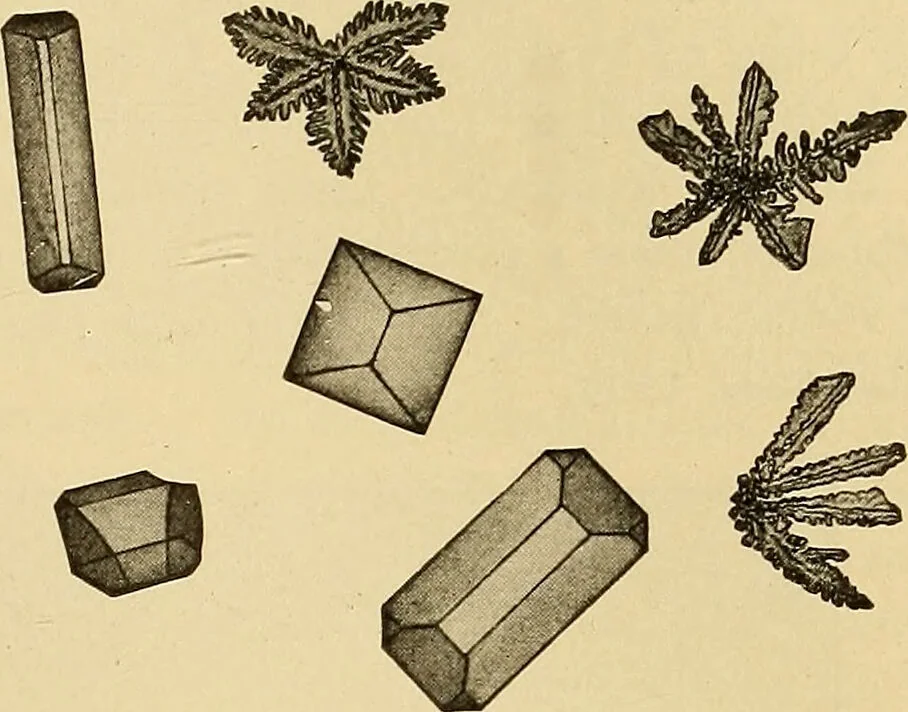 An illustration from Diagnostic methods, chemical, bacteriological and microscopical : a text-book for students and practitioners / by Ralph W. Webster ; with 37 colored plates and 164 other illustrations., 1909, leaf 391