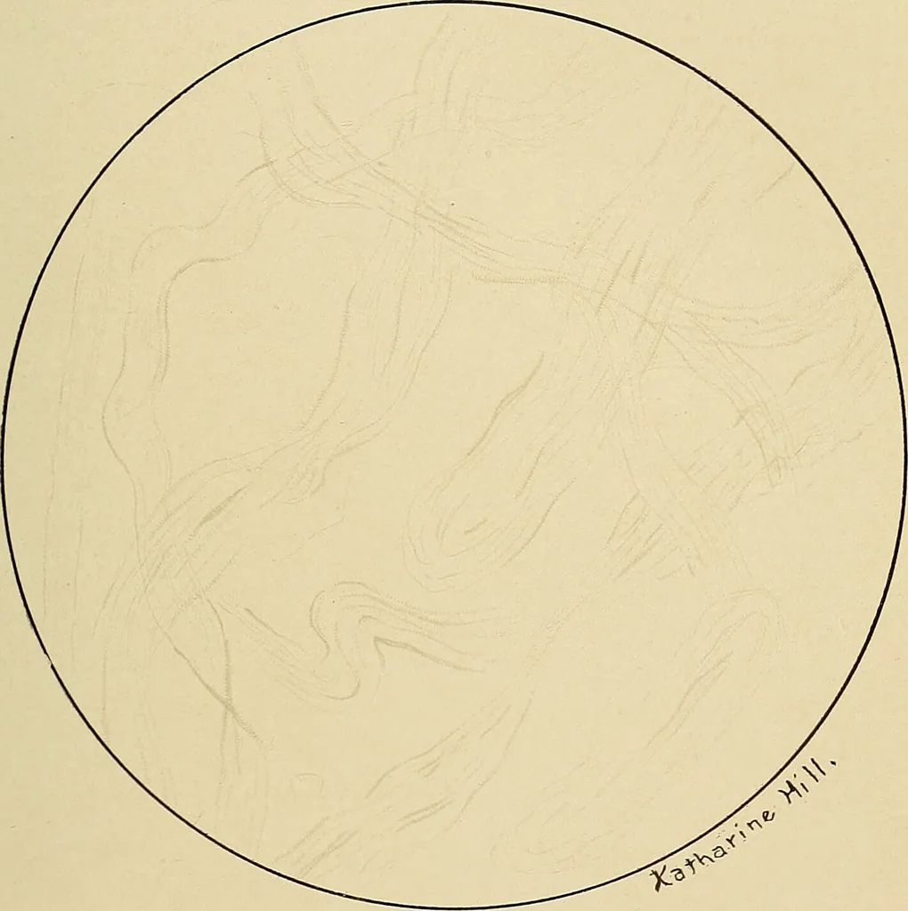 An illustration from Diagnostic methods, chemical, bacteriological and microscopical : a text-book for students and practitioners / by Ralph W. Webster ; with 37 colored plates and 164 other illustrations., 1909, leaf 407