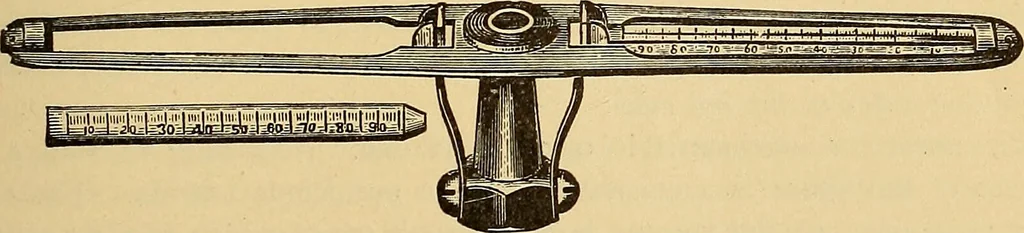 An illustration from Diagnostic methods, chemical, bacteriological and microscopical : a text-book for students and practitioners / by Ralph W. Webster ; with 37 colored plates and 164 other illustrations., 1909, leaf 441
