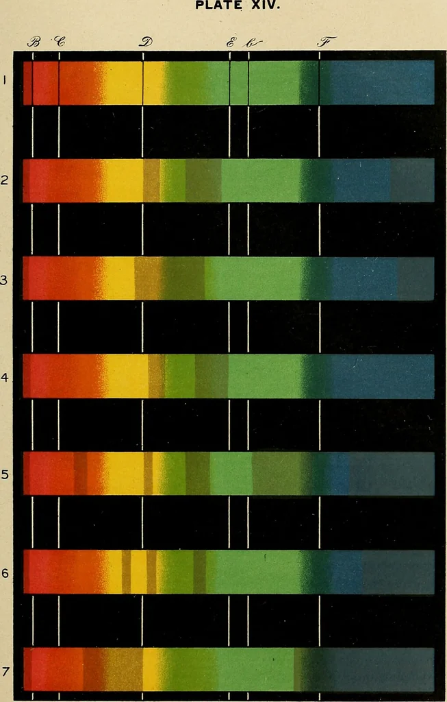 An illustration from Diagnostic methods, chemical, bacteriological and microscopical : a text-book for students and practitioners / by Ralph W. Webster ; with 37 colored plates and 164 other illustrations., 1909, leaf 463