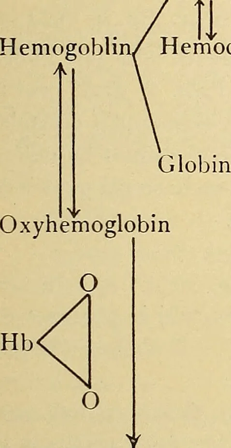 An illustration from Diagnostic methods, chemical, bacteriological and microscopical : a text-book for students and practitioners / by Ralph W. Webster ; with 37 colored plates and 164 other illustrations., 1909, leaf 469