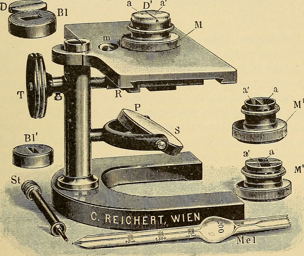 An illustration from Diagnostic methods, chemical, bacteriological and microscopical : a text-book for students and practitioners / by Ralph W. Webster ; with 37 colored plates and 164 other illustrations., 1909, leaf 473