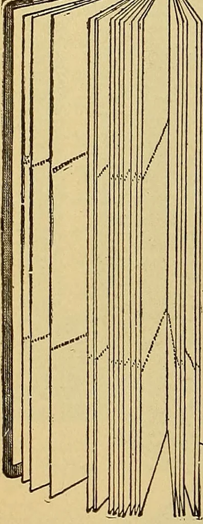 An illustration from Diagnostic methods, chemical, bacteriological and microscopical : a text-book for students and practitioners / by Ralph W. Webster ; with 37 colored plates and 164 other illustrations., 1909, leaf 480