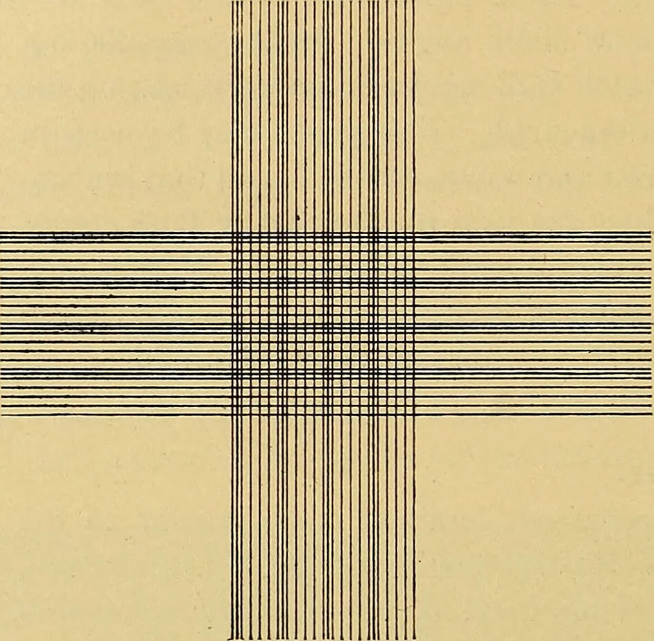 An illustration from Diagnostic methods, chemical, bacteriological and microscopical : a text-book for students and practitioners / by Ralph W. Webster ; with 37 colored plates and 164 other illustrations., 1909, leaf 498