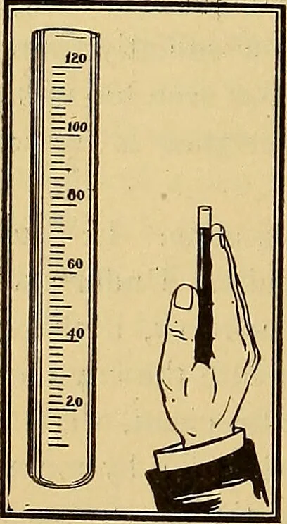 An illustration from Diagnostic methods, chemical, bacteriological and microscopical : a text-book for students and practitioners / by Ralph W. Webster ; with 37 colored plates and 164 other illustrations., 1909, leaf 508