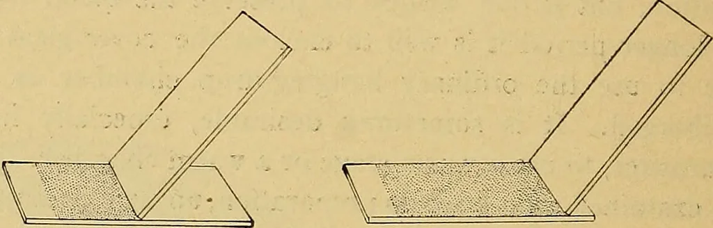 An illustration from Diagnostic methods, chemical, bacteriological and microscopical : a text-book for students and practitioners / by Ralph W. Webster ; with 37 colored plates and 164 other illustrations., 1909, leaf 514