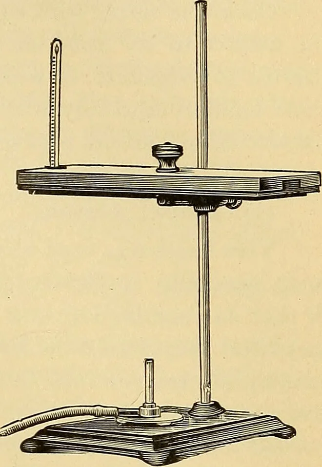 An illustration from Diagnostic methods, chemical, bacteriological and microscopical : a text-book for students and practitioners / by Ralph W. Webster ; with 37 colored plates and 164 other illustrations., 1909, leaf 517