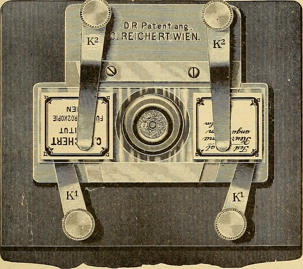 An illustration from Diagnostic methods, chemical, bacteriological and microscopical : a text-book for students and practitioners / by Ralph W. Webster ; with 37 colored plates and 164 other illustrations., 1909, leaf 659