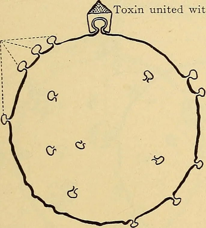 An illustration from Diagnostic methods, chemical, bacteriological and microscopical : a text-book for students and practitioners / by Ralph W. Webster ; with 37 colored plates and 164 other illustrations., 1909, leaf 673