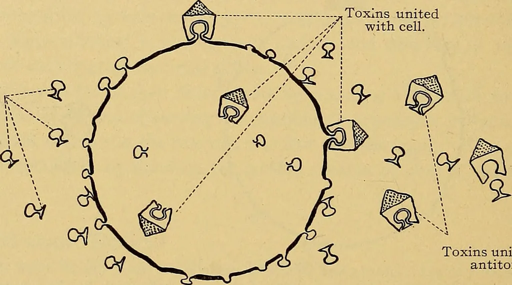 An illustration from Diagnostic methods, chemical, bacteriological and microscopical : a text-book for students and practitioners / by Ralph W. Webster ; with 37 colored plates and 164 other illustrations., 1909, leaf 674