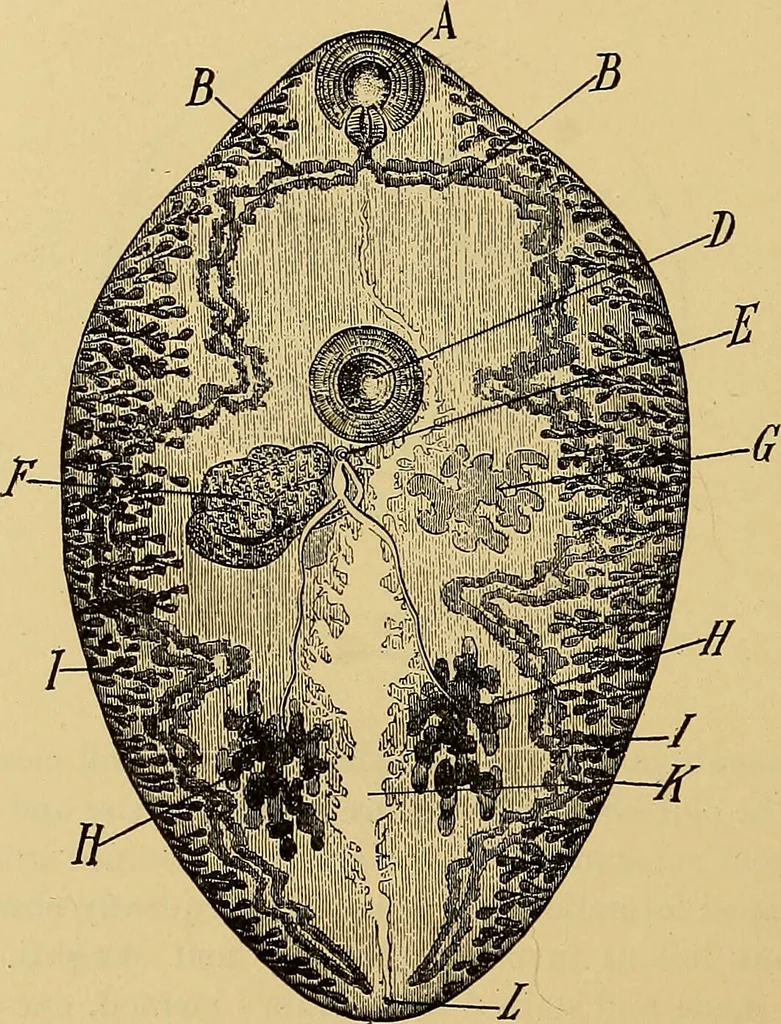 An illustration from Diagnostic methods, chemical, bacteriological and microscopical : a text-book for students and practitioners / by Ralph W. Webster ; with 37 colored plates and 164 other illustrations., 1909, leaf 70