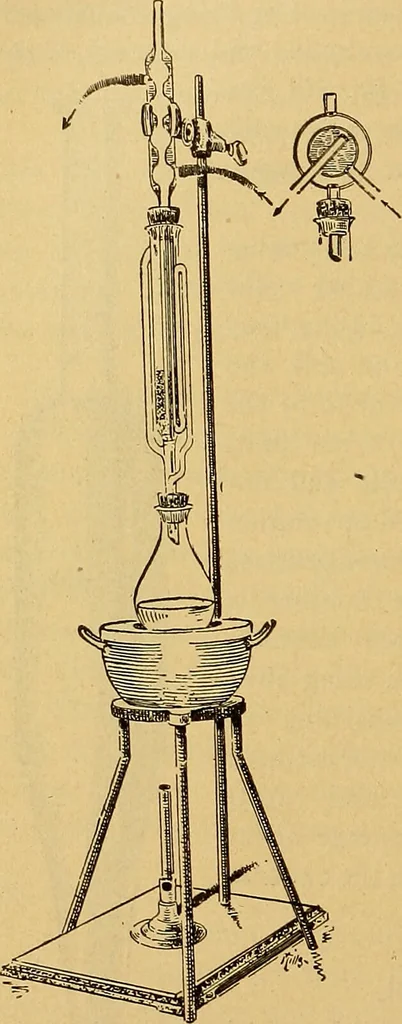 An illustration from Diagnostic methods, chemical, bacteriological and microscopical : a text-book for students and practitioners / by Ralph W. Webster ; with 37 colored plates and 164 other illustrations., 1909, leaf 722