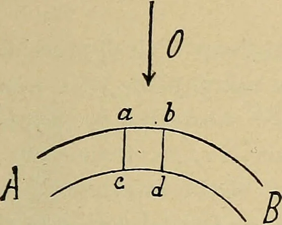 An illustration from Atlas and epitome of traumatic fractures and dislocations / by H. Helferich ; auth. tr. from the German, ed. by Joseph C. Bloodgood., 1902, leaf 107