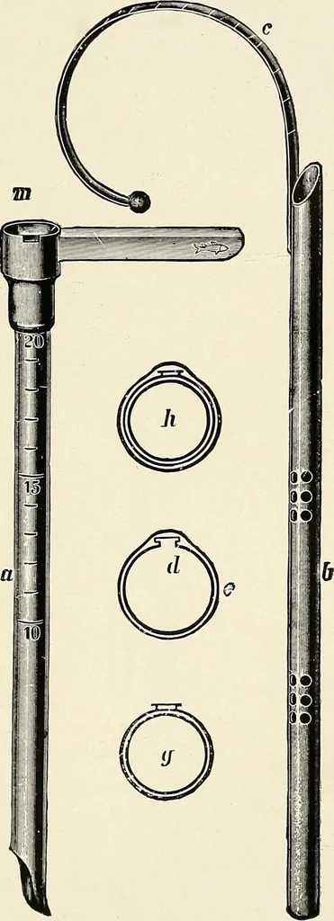 An illustration from Surgery of the lung / by C. Garrè and H. Quincke., 1913, leaf 241