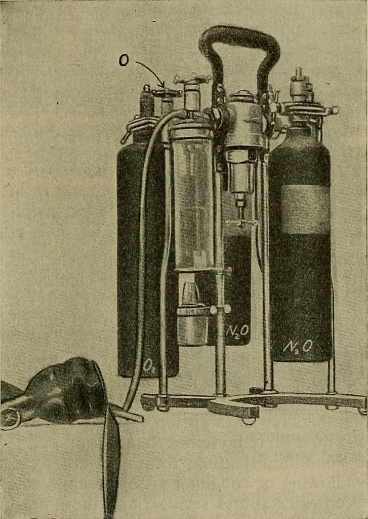 An illustration from Modern surgery, general and operative / by John Chalmers DaCosta., 1914, leaf 1259