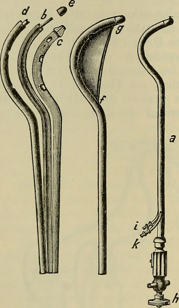 An illustration from Modern surgery, general and operative / by John Chalmers DaCosta., 1914, leaf 1316