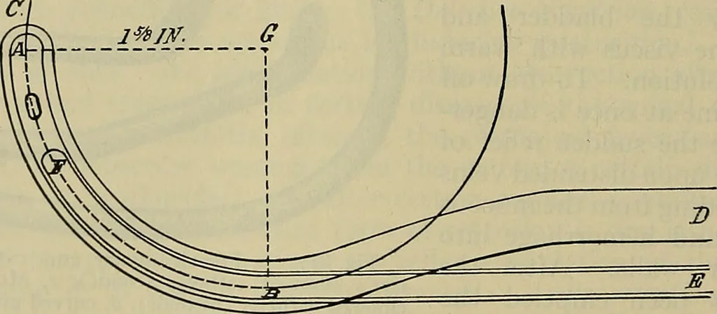An illustration from Modern surgery, general and operative / by John Chalmers DaCosta., 1914, leaf 1360