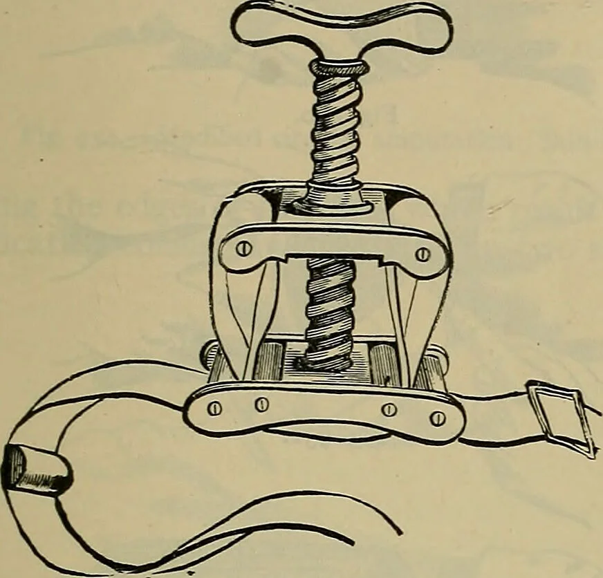 An illustration from Modern surgery, general and operative / by John Chalmers DaCosta., 1914, leaf 1449