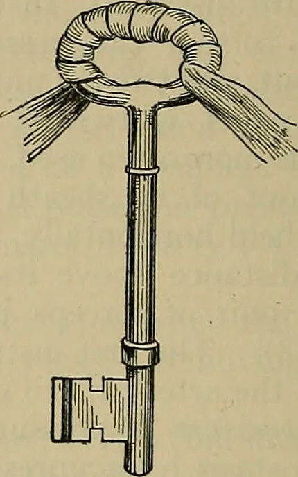 An illustration from Modern surgery, general and operative / by John Chalmers DaCosta., 1914, leaf 456