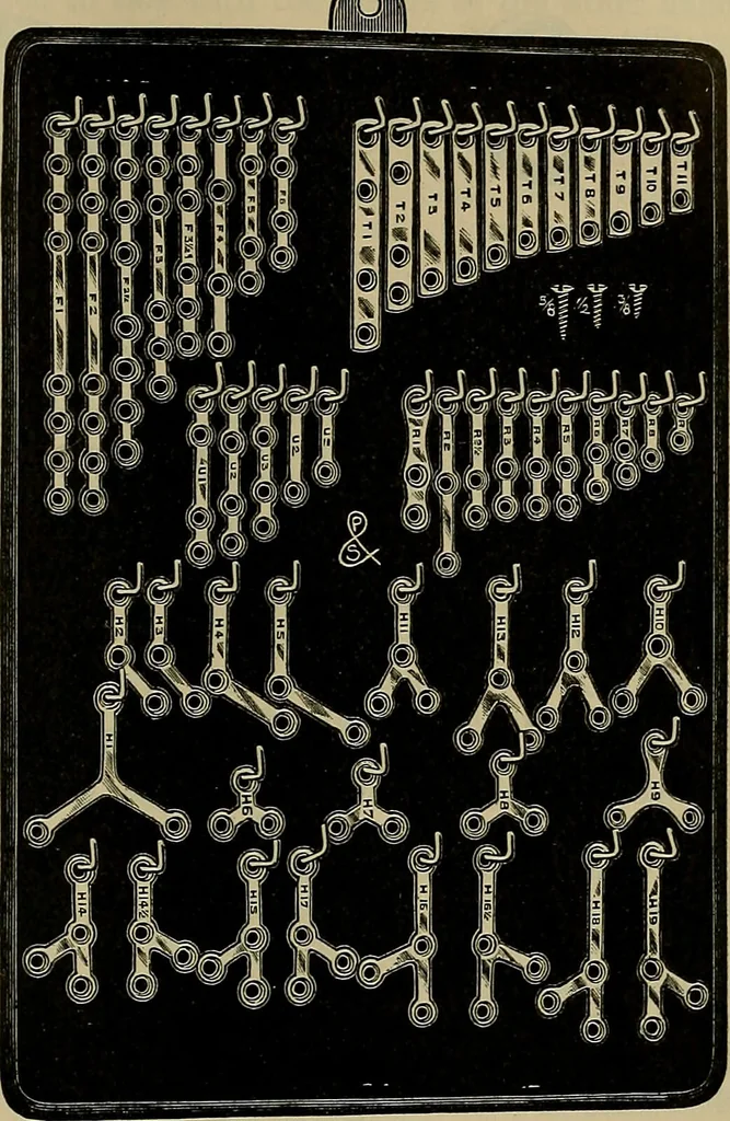 An illustration from Modern surgery, general and operative / by John Chalmers DaCosta., 1914, leaf 553