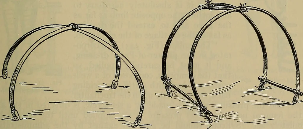 An illustration from Modern surgery, general and operative / by John Chalmers DaCosta., 1914, leaf 607