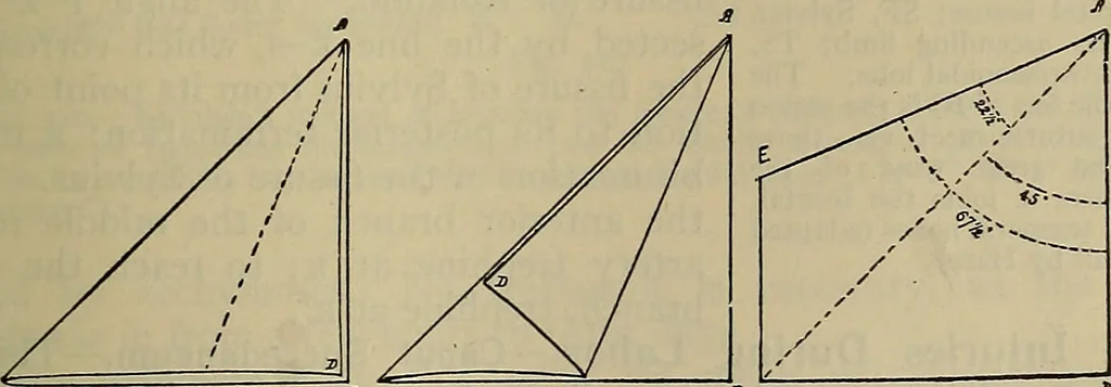 An illustration from Modern surgery, general and operative / by John Chalmers DaCosta., 1914, leaf 793