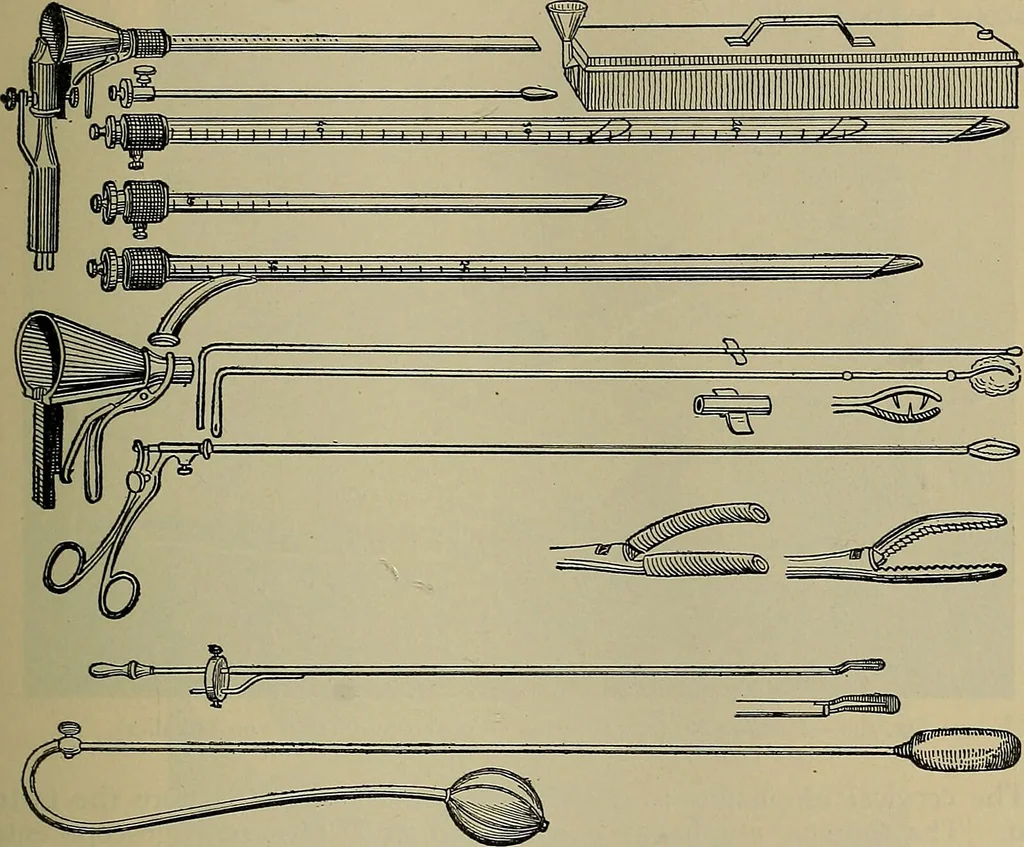 An illustration from Modern surgery, general and operative / by John Chalmers DaCosta., 1914, leaf 955