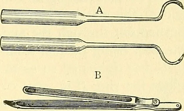 An illustration from Modern surgery, general and operative / by John Chalmers Da Costa., 1907, leaf 1003