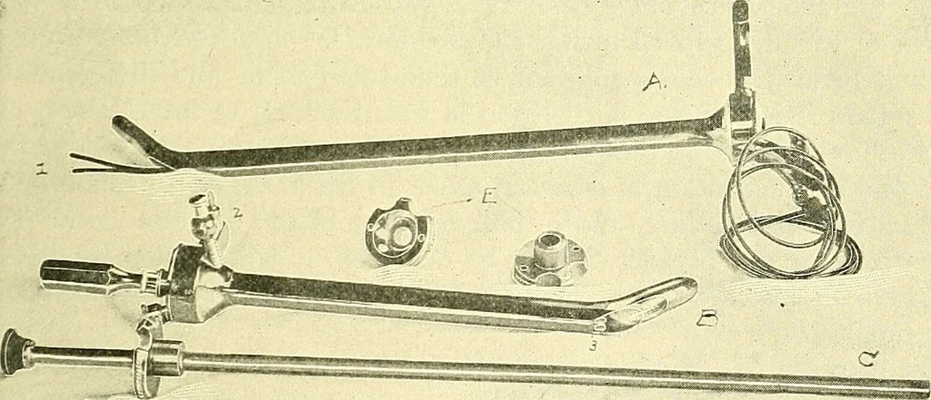 An illustration from Modern surgery, general and operative / by John Chalmers Da Costa., 1907, leaf 1123