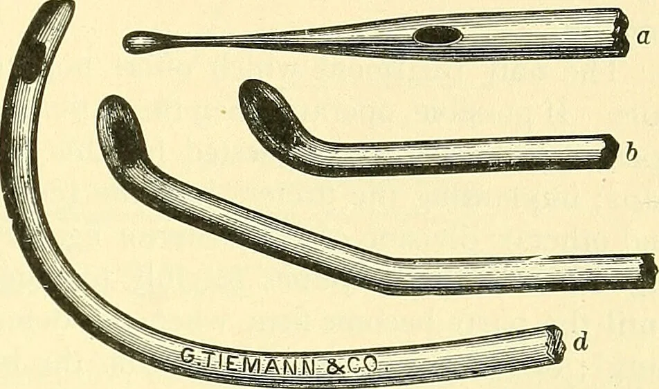 An illustration from Modern surgery, general and operative / by John Chalmers Da Costa., 1907, leaf 1153