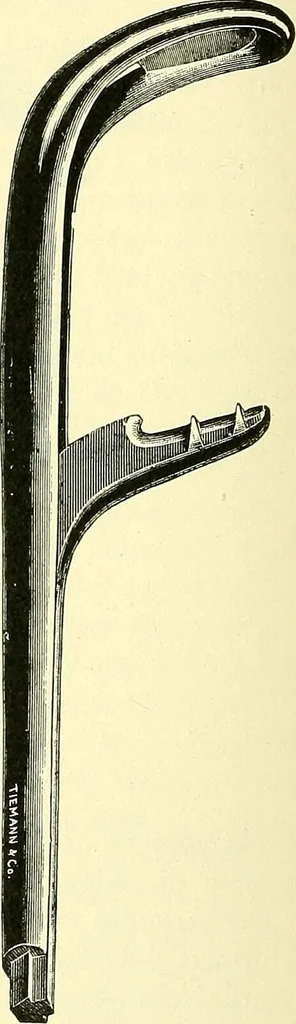 An illustration from Modern surgery, general and operative / by John Chalmers Da Costa., 1907, leaf 1170