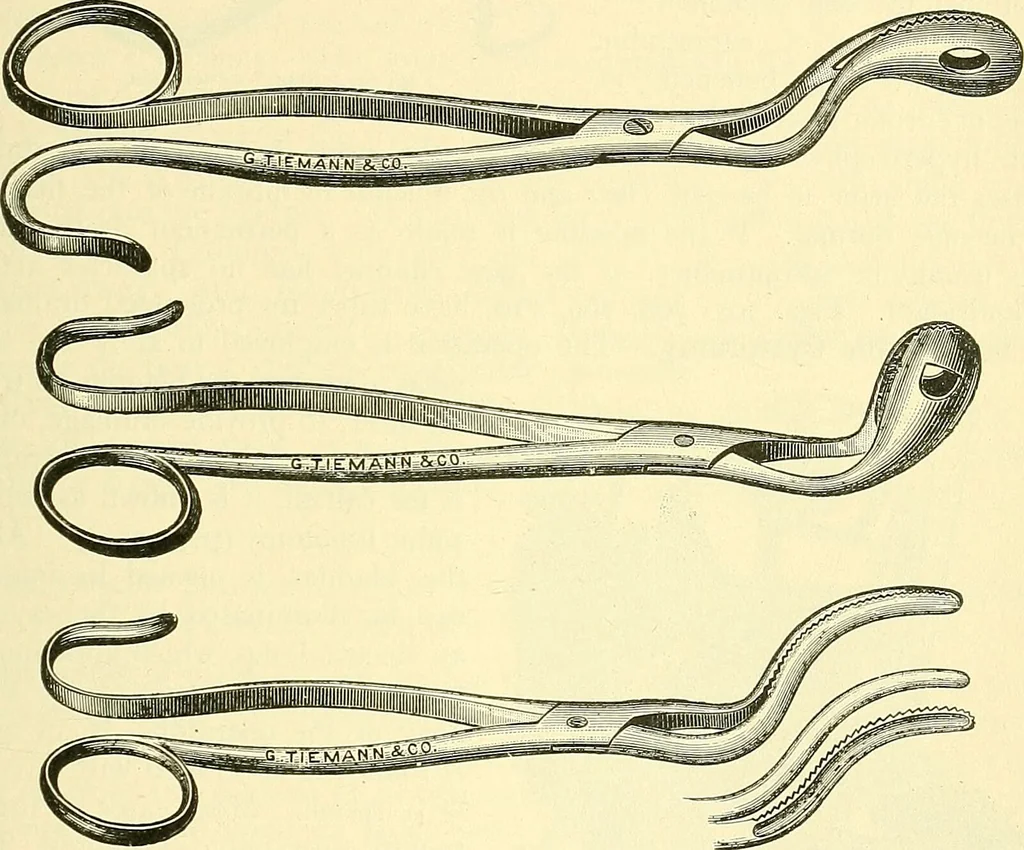 An illustration from Modern surgery, general and operative / by John Chalmers Da Costa., 1907, leaf 1173