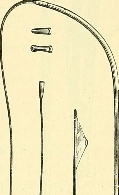An illustration from Modern surgery, general and operative / by John Chalmers Da Costa., 1907, leaf 1199