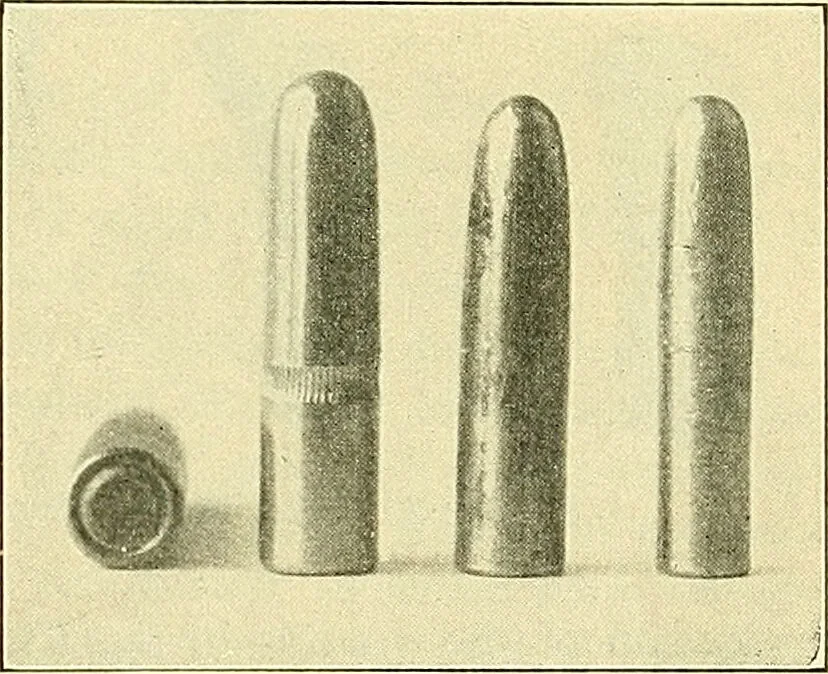 An illustration from Modern surgery, general and operative / by John Chalmers Da Costa., 1907, leaf 261
