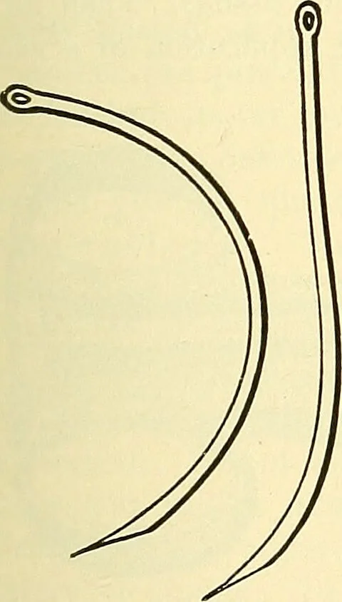An illustration from Modern surgery, general and operative / by John Chalmers Da Costa., 1907, leaf 385