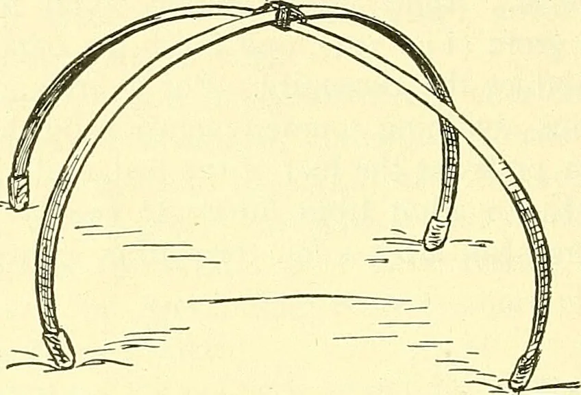An illustration from Modern surgery, general and operative / by John Chalmers Da Costa., 1907, leaf 534