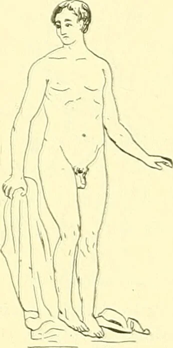 An illustration from Modern surgery, general and operative / by John Chalmers Da Costa., 1907, leaf 620