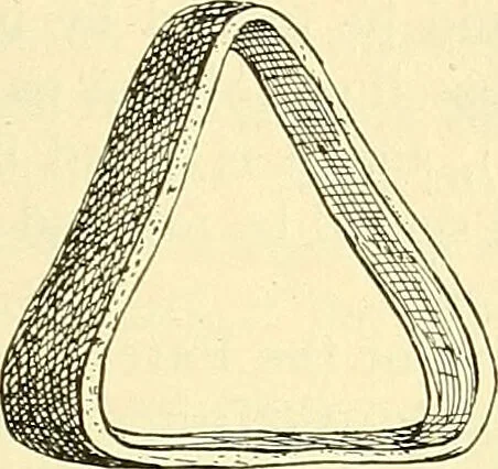 An illustration from Modern surgery, general and operative / by John Chalmers Da Costa., 1907, leaf 633
