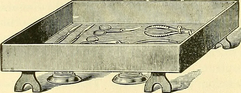 An illustration from Modern surgery, general and operative / by John Chalmers Da Costa., 1907, leaf 67