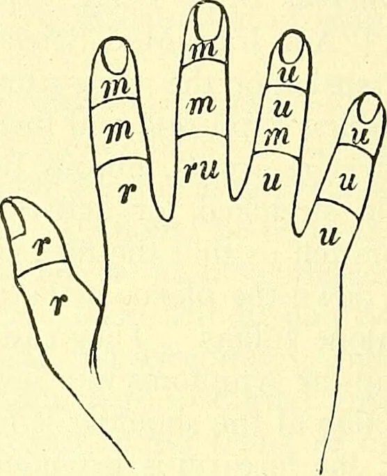 An illustration from Modern surgery, general and operative / by John Chalmers Da Costa., 1907, leaf 688