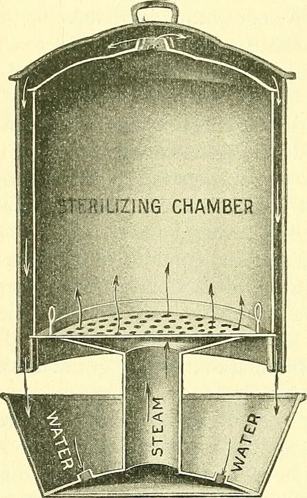 An illustration from Modern surgery, general and operative / by John Chalmers Da Costa., 1907, leaf 74
