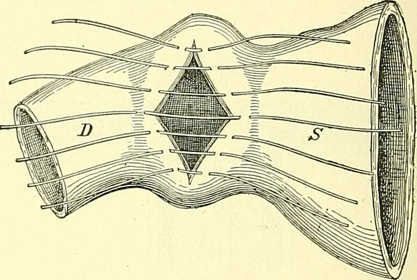 An illustration from Modern surgery, general and operative / by John Chalmers Da Costa., 1907, leaf 946